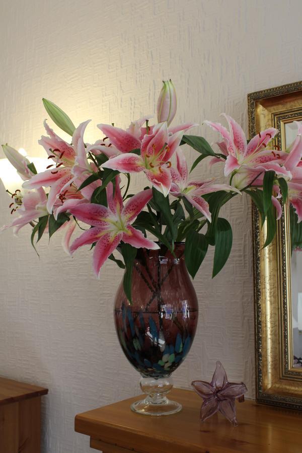 Hillview Country house Fort William