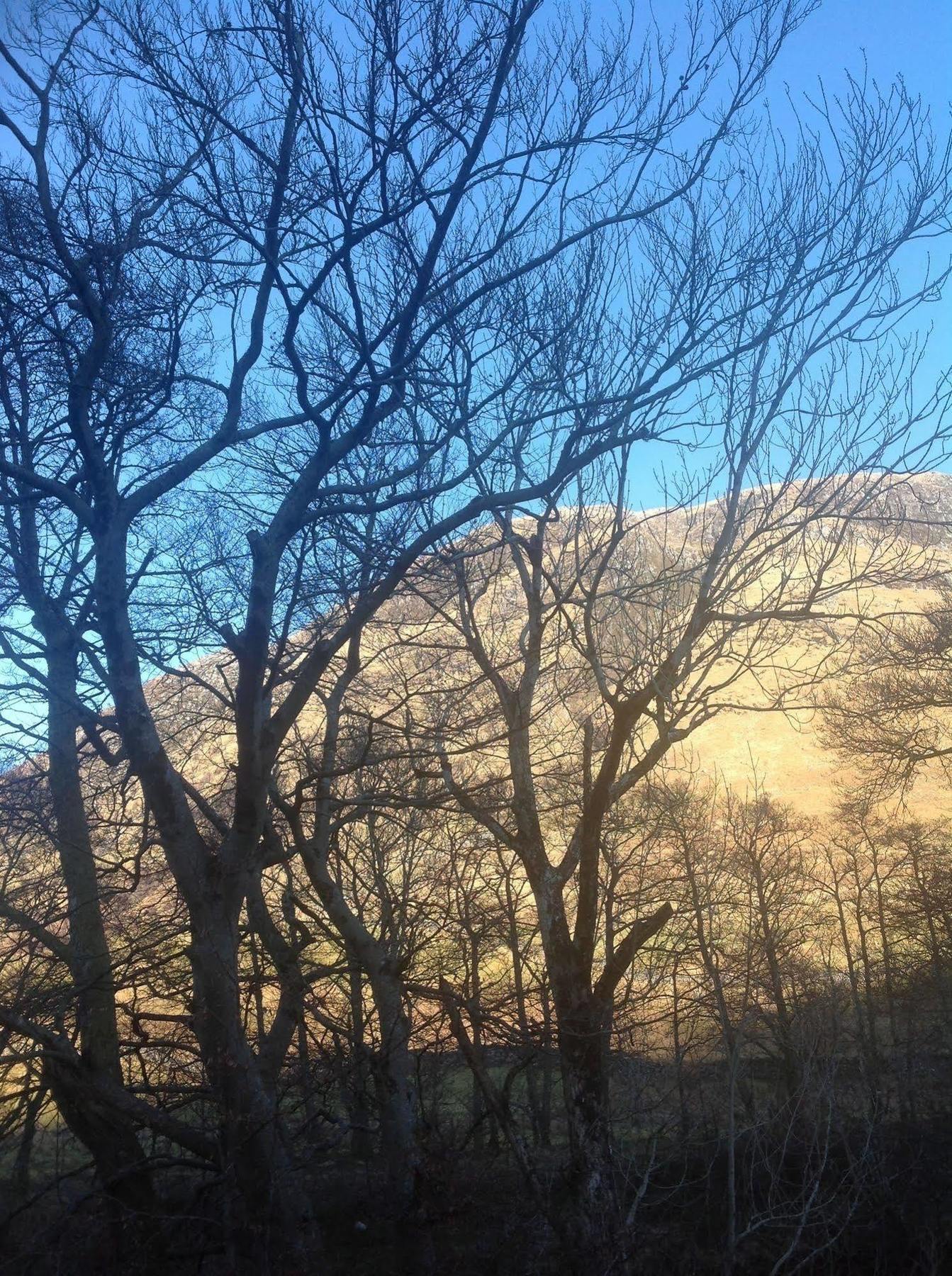 Cuil Na Sithe 3* Fort William