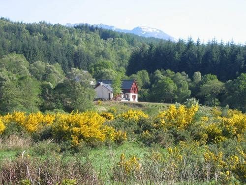 Garadh Buidhe 3*
