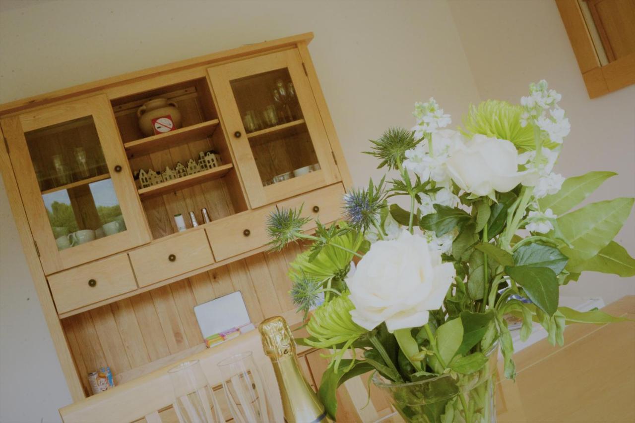Bed & Breakfast Torcastle House