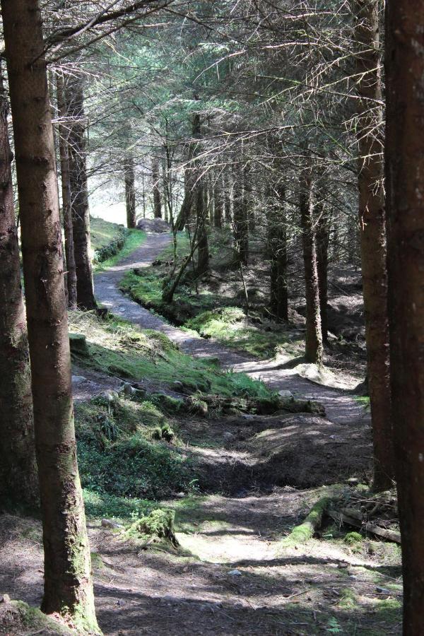 Bed & Breakfast Lothlorien Fort William