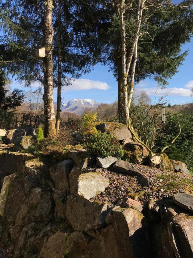 Tom Beag - Ben Nevis View *