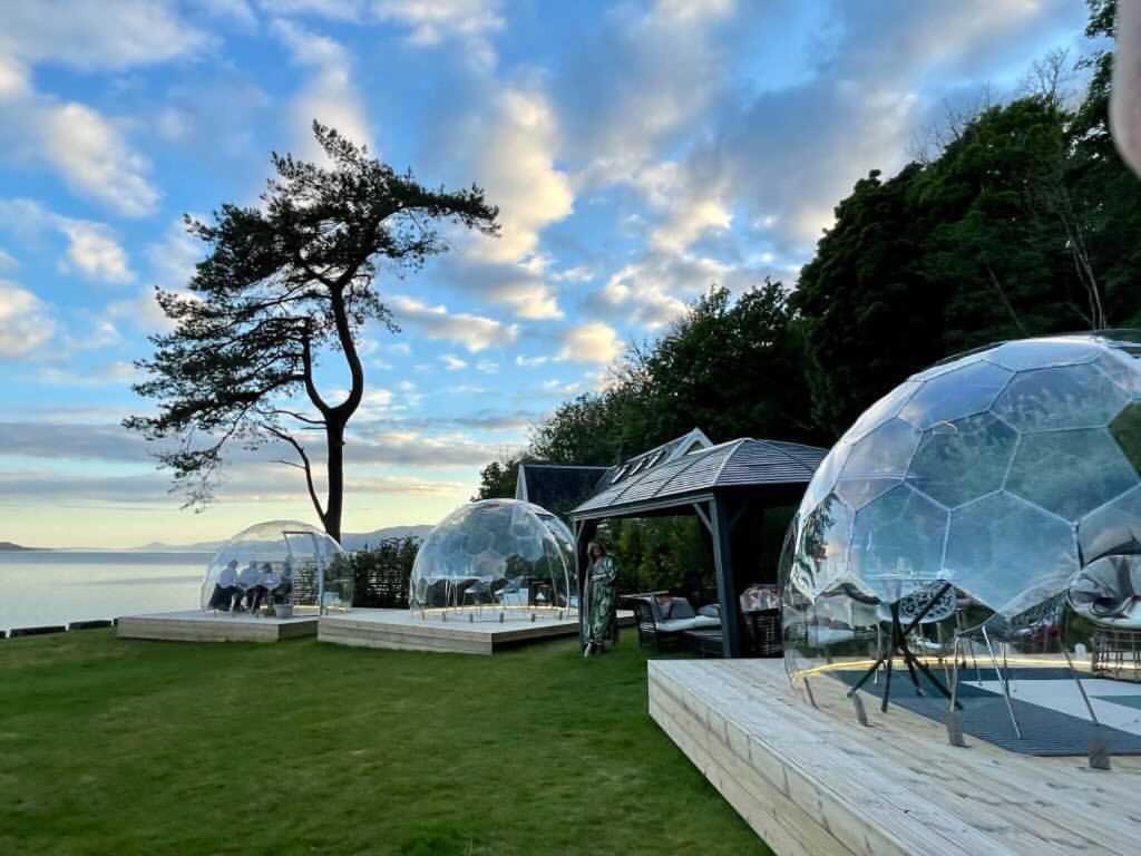 Ardrhu House William Guest house 5*