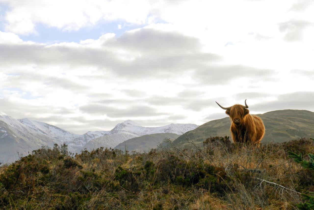 Glen Nevis Holidays 4* Fort William