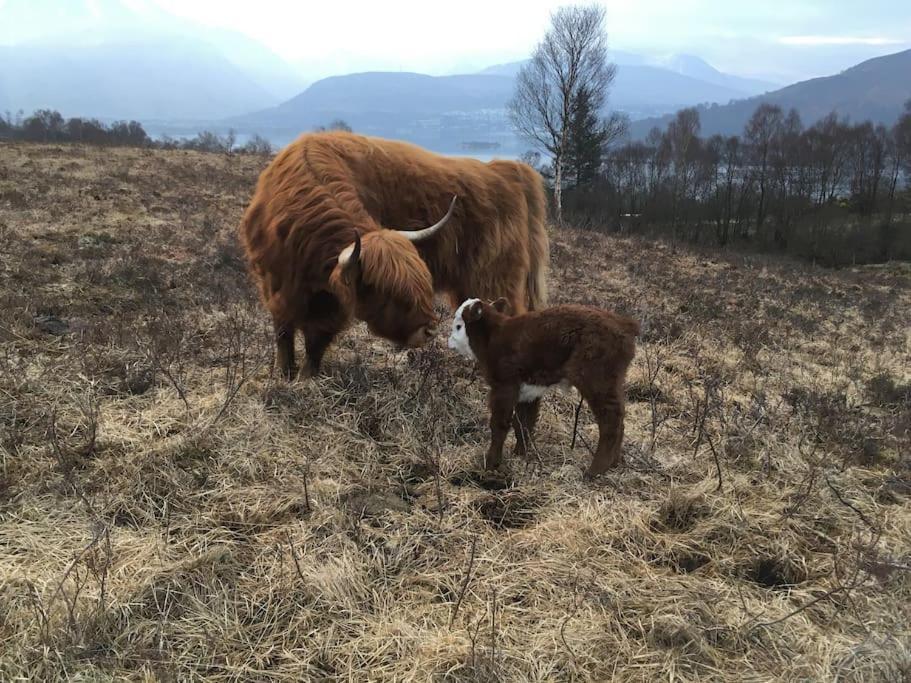 Carnach * Fort William