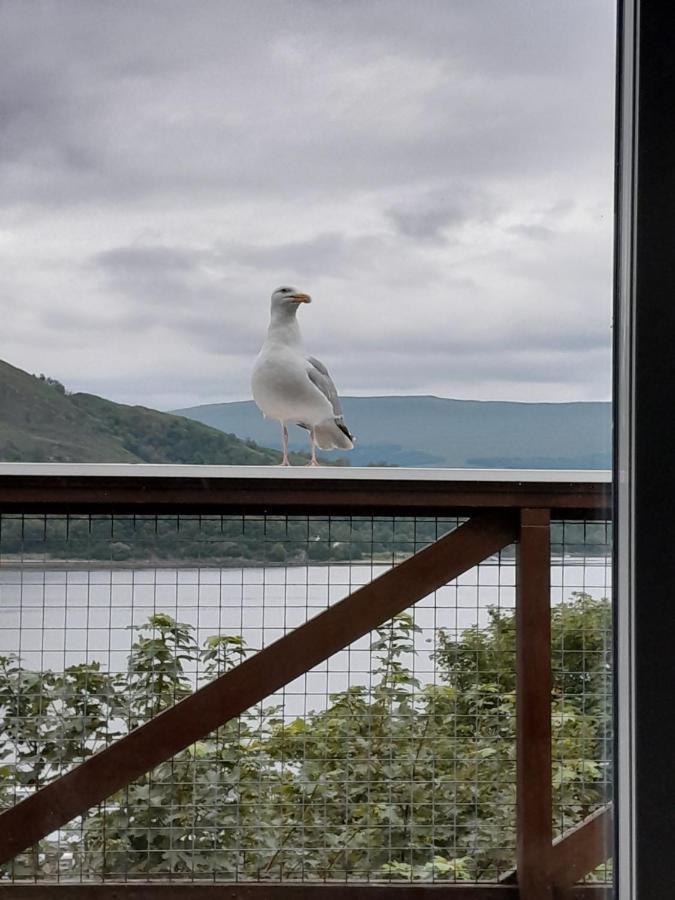 Apartment Old Harbour Master's Self-catering *