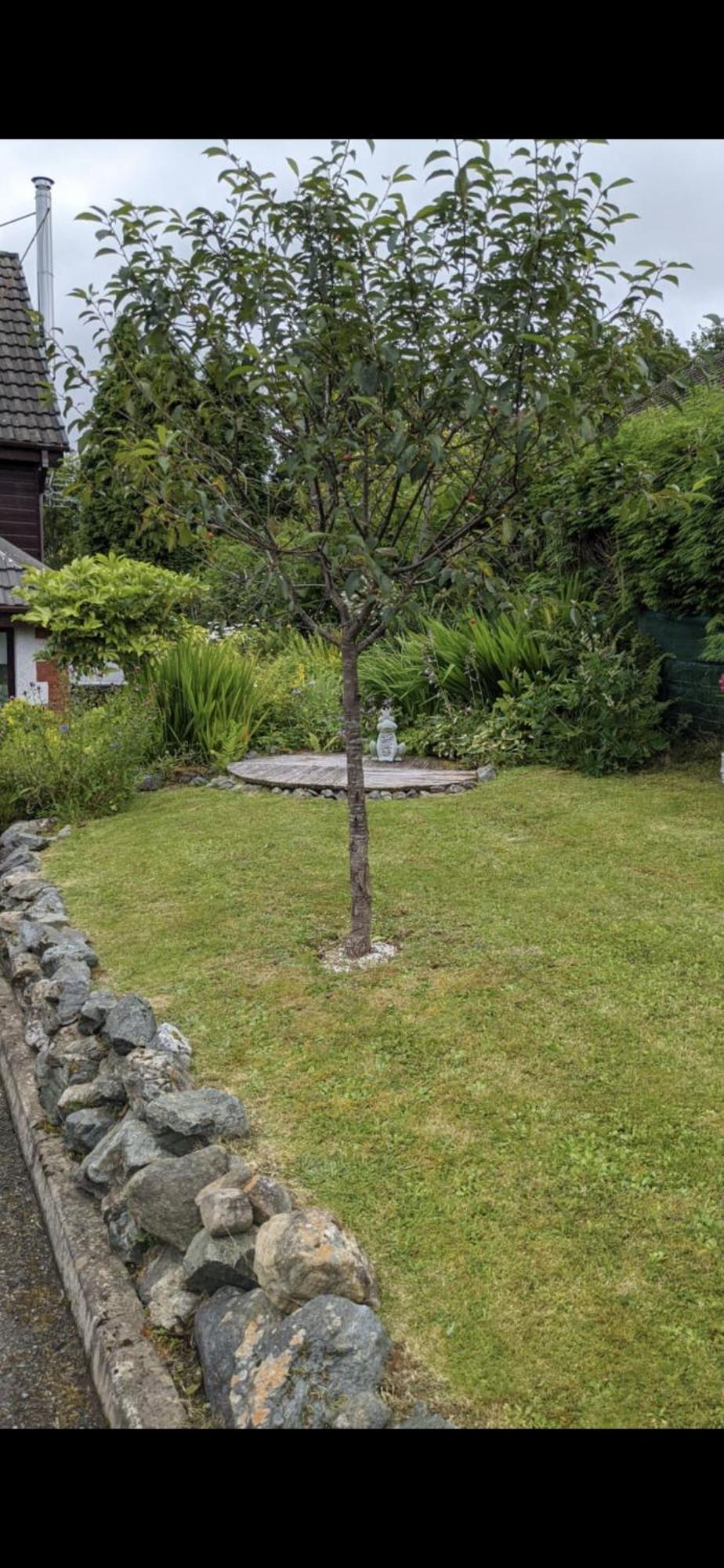Contemporary Highland House Close To Town And Ben Nevis