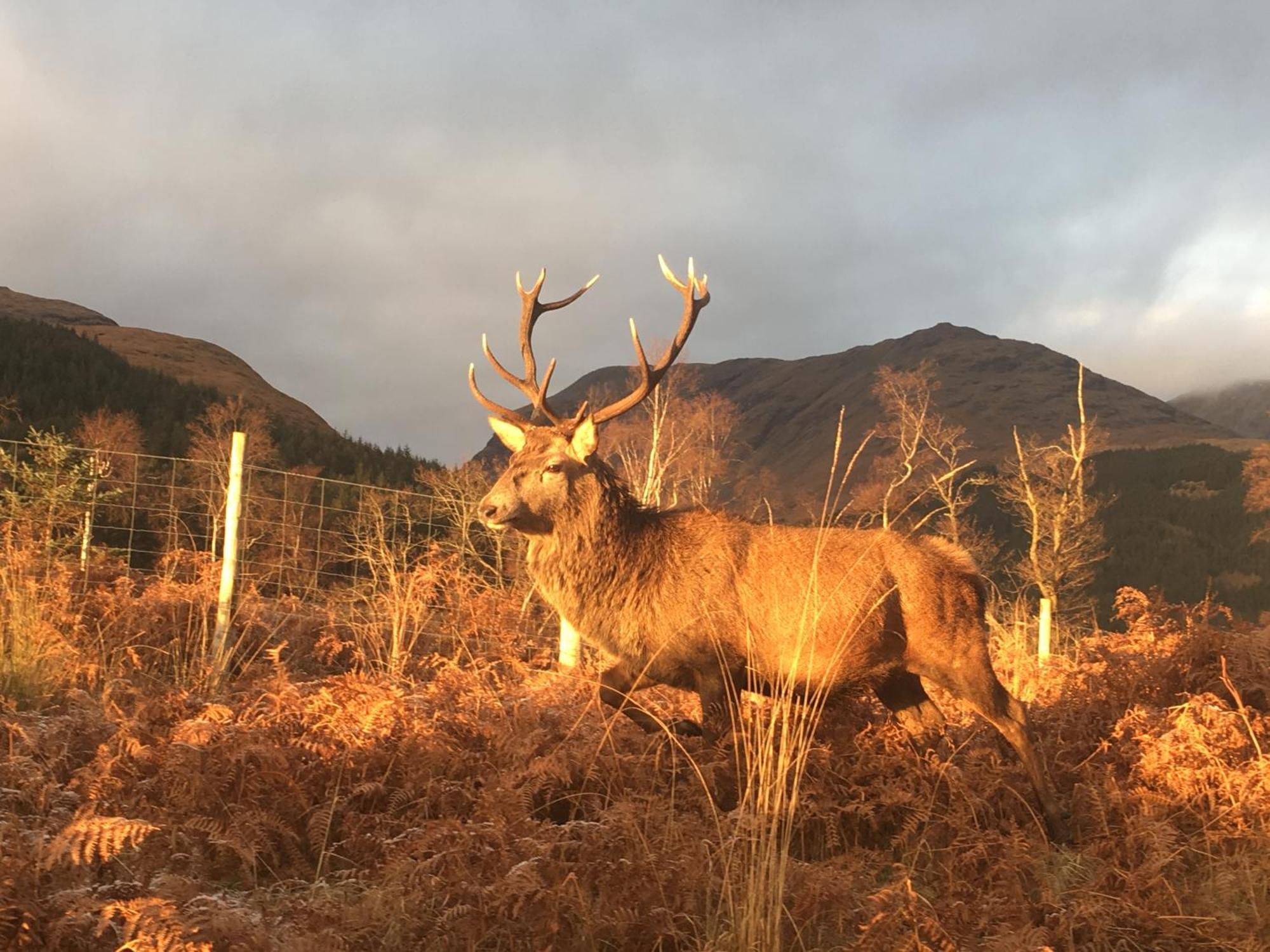 Guest house Stronchreggan View Fort William