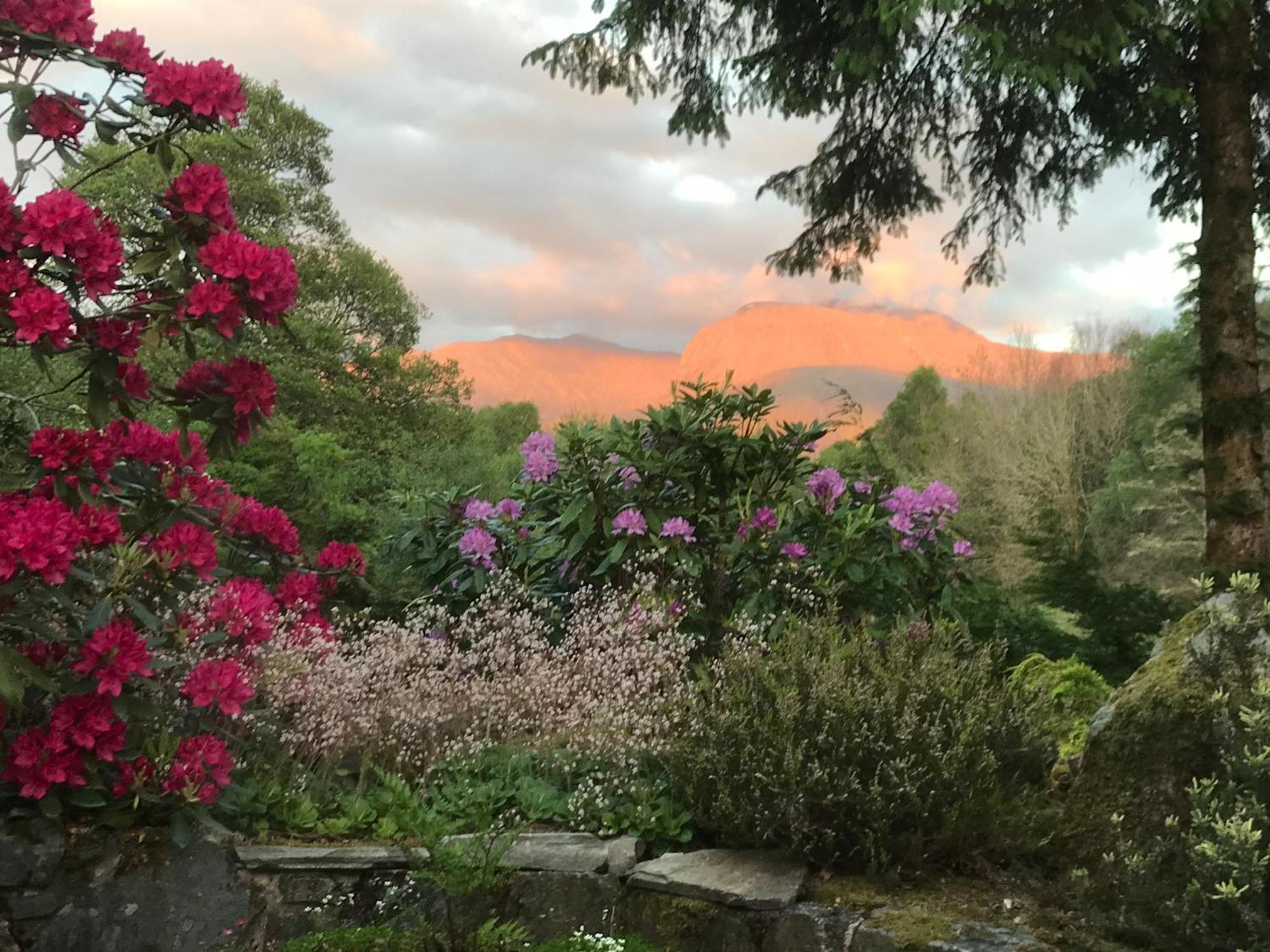 Tom Beag - Ben Nevis View Guest house